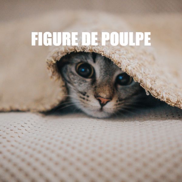 Dites le avec des chatons exemple