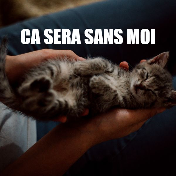 Dites le avec des chatons exemple